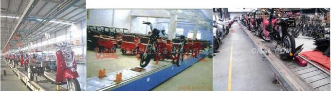 Personnalisation des véhicules à moteur de conception d'équipement d'Assemblée de tricycle électrique 1